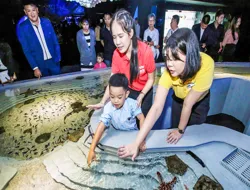 Tickets to Aquaria Phuket for Thai Residents